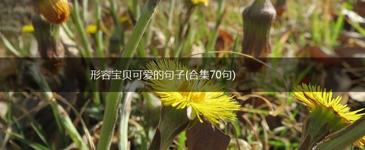 形容宝贝可爱的句子(合集70句),第1张