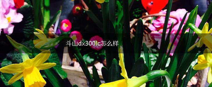 斗山dx300lc怎么样,第1张