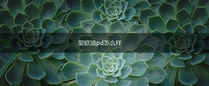 爱欧迪pd怎么样,第1张
