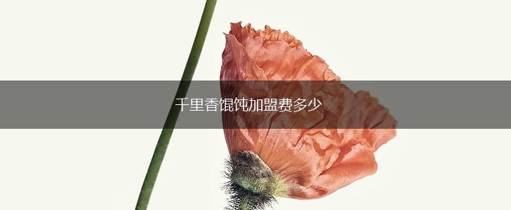 千里香馄饨加盟费多少,第1张