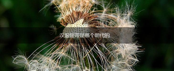 汉服绥带是哪个朝代的,第1张