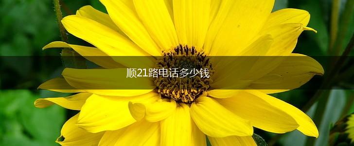 顺21路电话多少钱,第1张