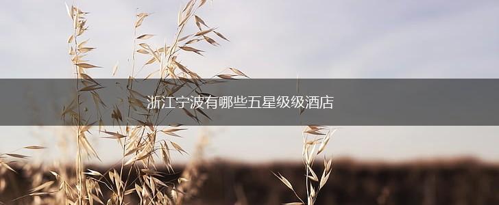 浙江宁波有哪些五星级级酒店,第1张
