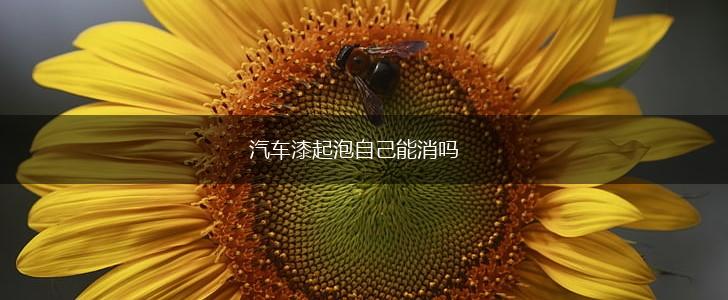 汽车漆起泡自己能消吗,第1张