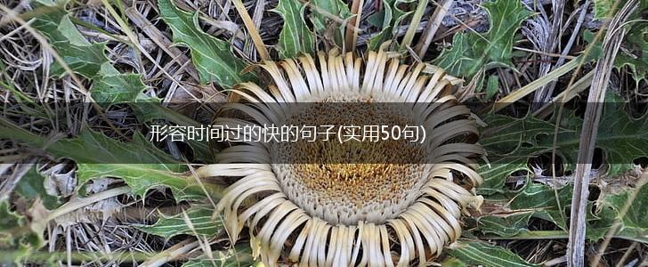 形容时间过的快的句子(实用50句),第1张