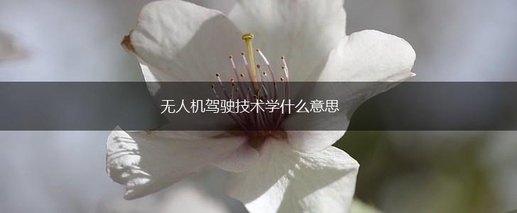 无人机驾驶技术学什么意思,第1张