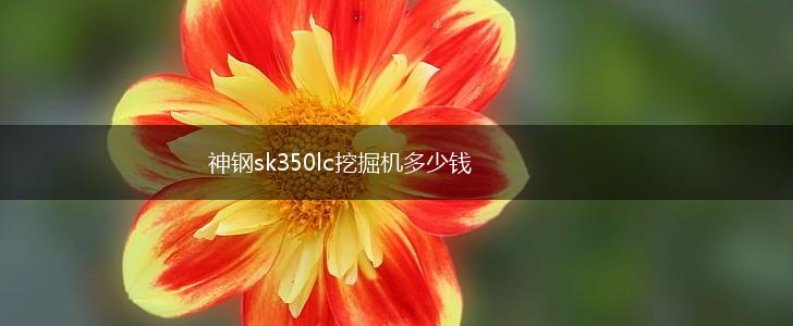 神钢sk350lc挖掘机多少钱,第1张
