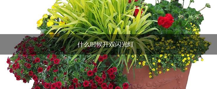 什么时候开双闪光灯,第1张