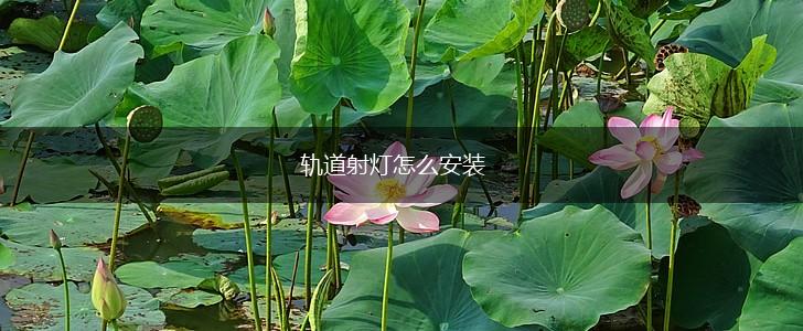 轨道射灯怎么安装,第1张
