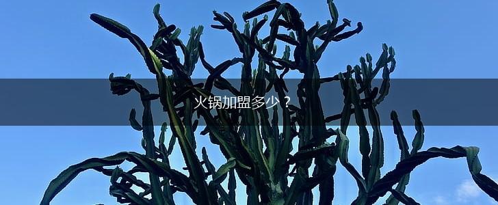 火锅加盟多少？,第1张