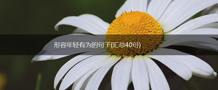 形容年轻有为的句子(汇总40句),第1张
