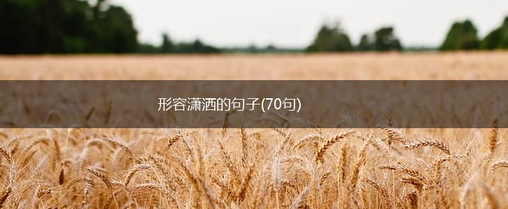 形容潇洒的句子(70句),第1张