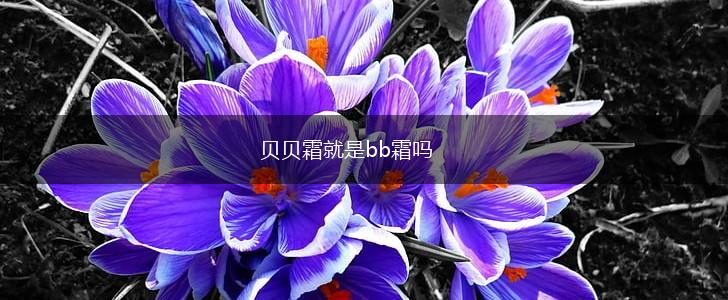 贝贝霜就是bb霜吗,第1张