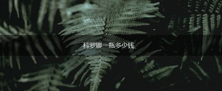 科罗娜一瓶多少钱,第1张