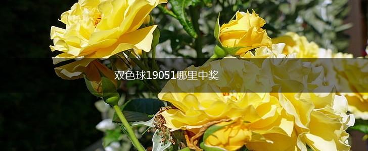 双色球19051哪里中奖,第1张