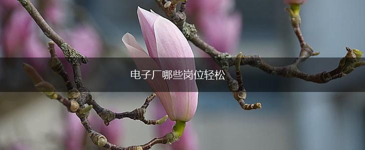 电子厂哪些岗位轻松,第1张