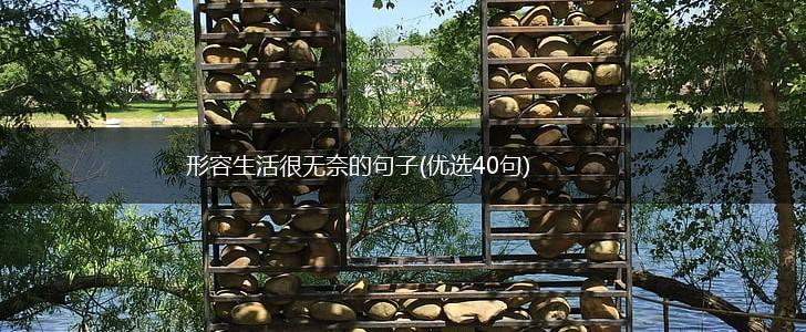 形容生活很无奈的句子(优选40句),第1张