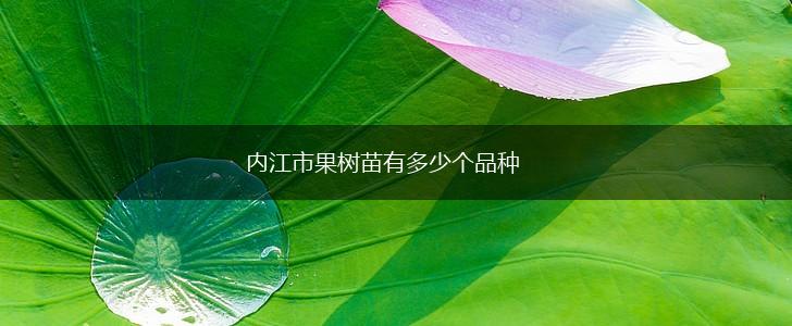内江市果树苗有多少个品种,第1张