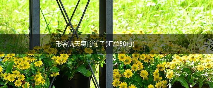 形容满天星的句子(汇总50句),第1张
