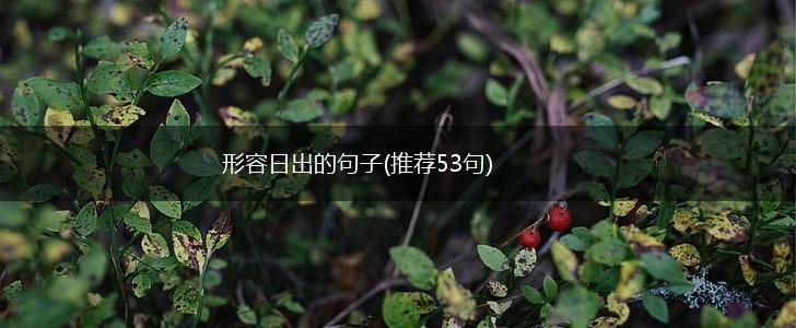形容日出的句子(推荐53句),第1张