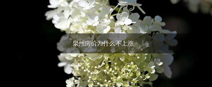 泉州房价为什么不上涨,第1张