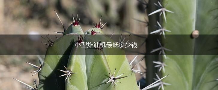小型炸油机最低多少钱,第1张