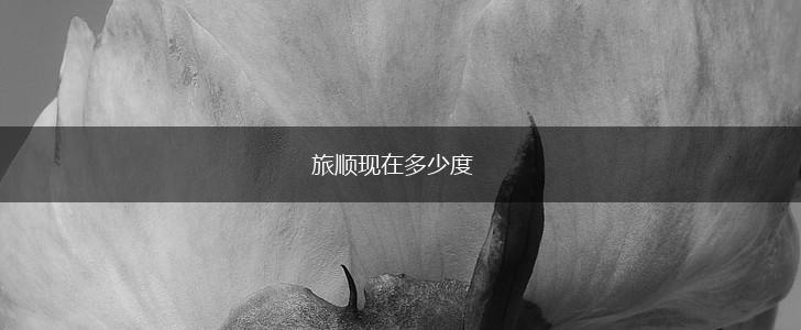 旅顺现在多少度,第1张