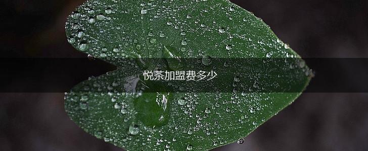 悦茶加盟费多少,第1张