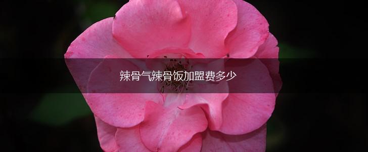 辣骨气辣骨饭加盟费多少,第1张