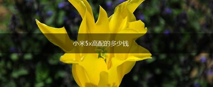 小米5x高配的多少钱,第1张