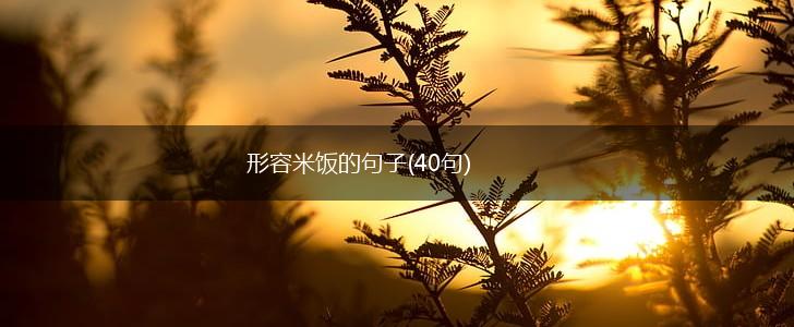 形容米饭的句子(40句),第1张