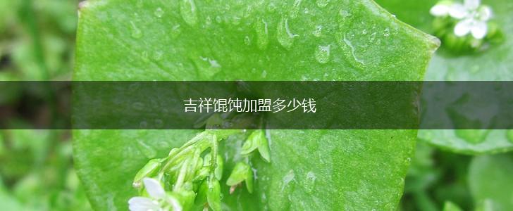 吉祥馄饨加盟多少钱,第1张