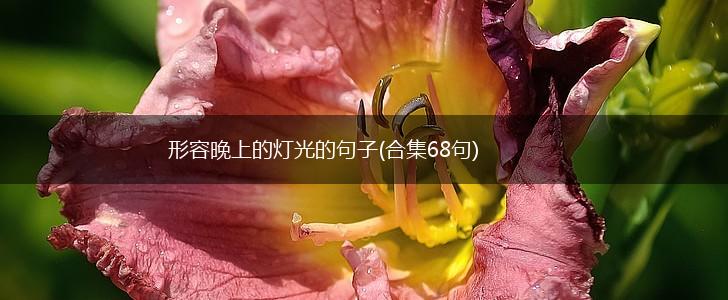 形容晚上的灯光的句子(合集68句),第1张