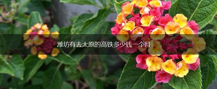 潍坊有去太原的高铁多少钱一个月,第1张