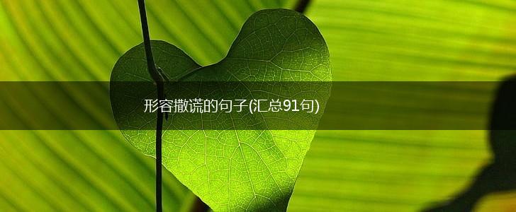 形容撒谎的句子(汇总91句),第1张