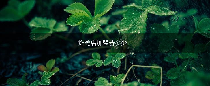 炸鸡店加盟费多少,第1张