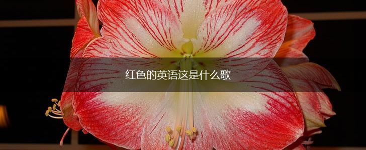 红色的英语这是什么歌,第1张