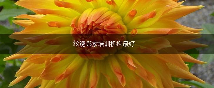 纹绣哪家培训机构最好,第1张