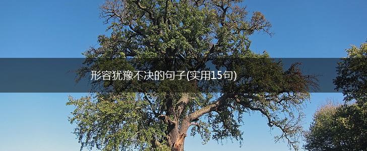 形容犹豫不决的句子(实用15句),第1张