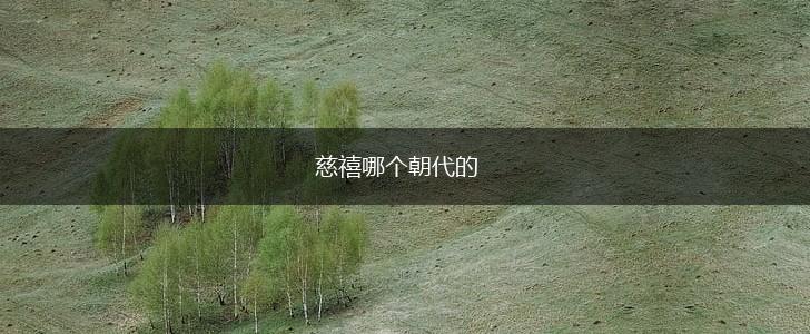 慈禧哪个朝代的,第1张