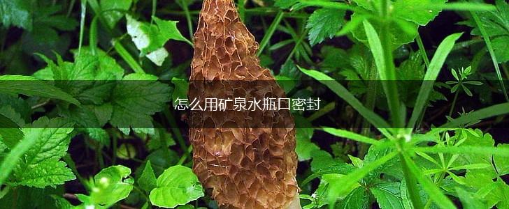 怎么用矿泉水瓶口密封,第1张