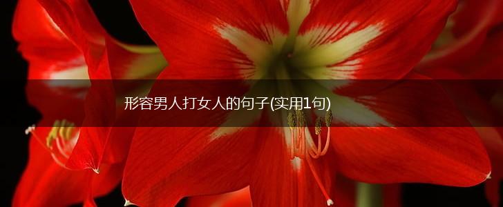 形容男人打女人的句子(实用1句),第1张