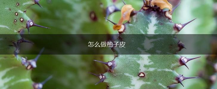 怎么做柚子皮,第1张