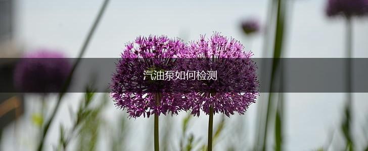 汽油泵如何检测,第1张