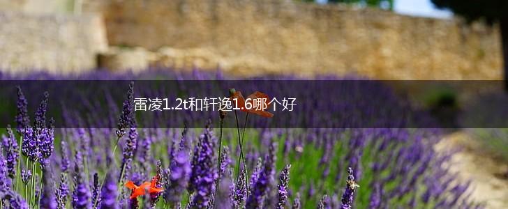 雷凌1.2t和轩逸1.6哪个好,第1张