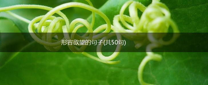 形容欲望的句子(共50句),第1张
