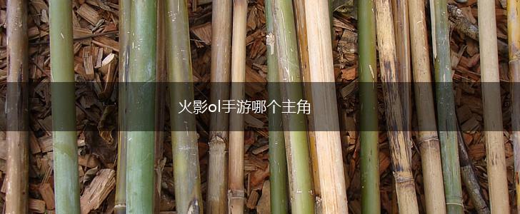 火影ol手游哪个主角,第1张