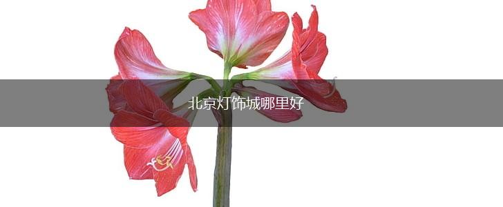 北京灯饰城哪里好,第1张