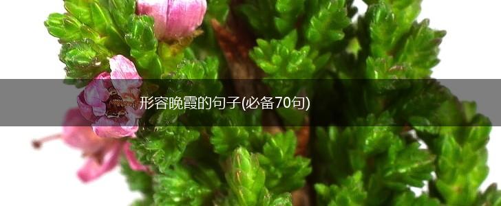 形容晚霞的句子(必备70句),第1张