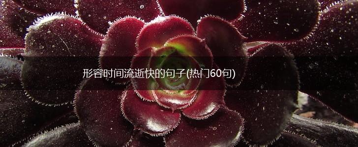 形容时间流逝快的句子(热门60句),第1张